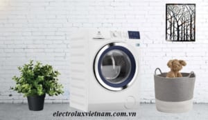 sửa máy giặt electrolux tại long An