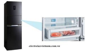 Các mẫu tủ lạnh electrolux loại ngăn đá trên có ngăn đông mềm