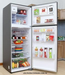 Các mẫu tủ lạnh electrolux loại ngăn đá trên