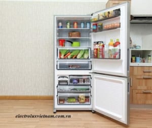 Các mẫu tủ lạnh electrolux loại ngăn đá dưới