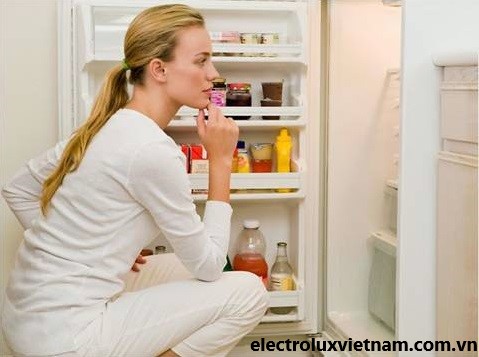 Bảo hành tủ lạnh Electrolux tại Bạc Liêu