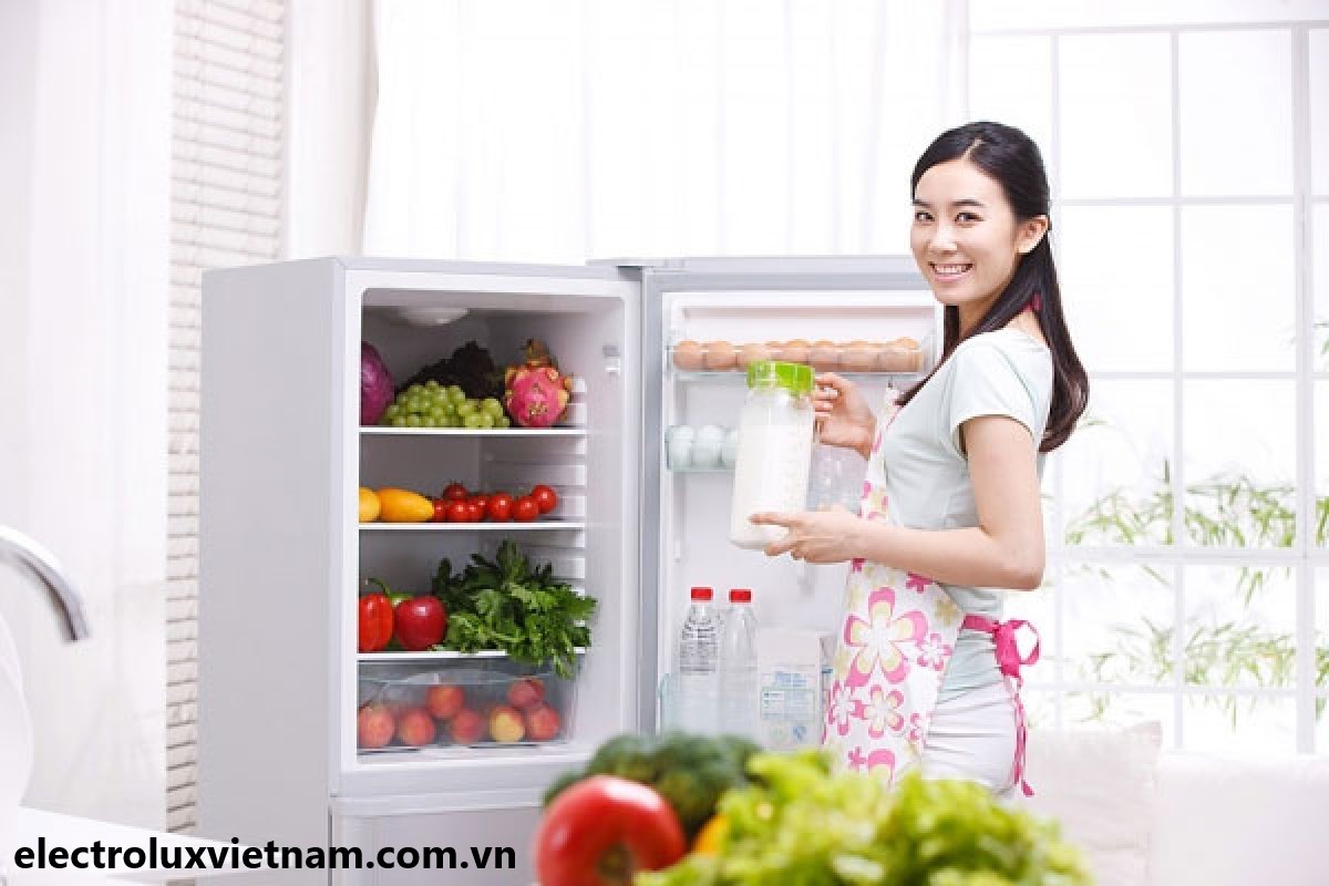 Dịch vụ sửa tủ lạnh Electrolux tại Bình Định